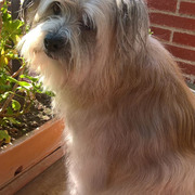 max-20-08-2026.jpg