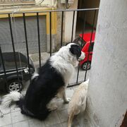 MAX - max-4-05-06-2026.jpg