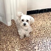 mia-06-06.jpg
