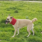 mia-07-06.jpg