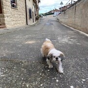 MÍA GRAU - mia-3-05-02-2026.jpg