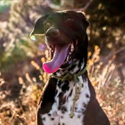 mishka-04-06.jpg