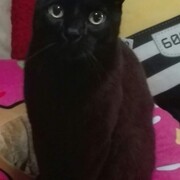 nala-20-10-2026.jpg