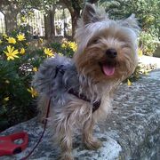 nina-07-07.jpg