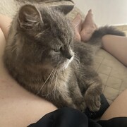 NINU - ninu-4-25-03-2026.jpeg