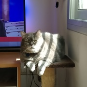 NINU - ninu-5-25-03-2026.jpeg