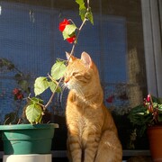 nube-10-07.jpg