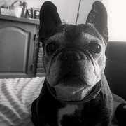 nuka-1-13-06.jpg