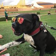 NYMERIA - nymeria-3-18-03-2026.jpg