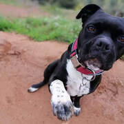 NYMERIA - nymeria-5-18-03-2026.jpg