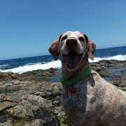 oddie--2--26-03.jpg