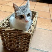 OTTO - otto-1-21-05-2026.jpg