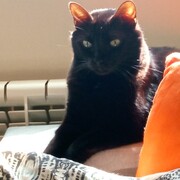 percy-20-04-2026.jpg