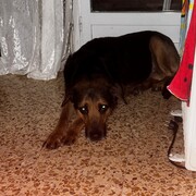 perla-09-06.jpg