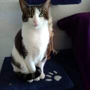 PUMA  - puma-2-29-01-2026.jpg