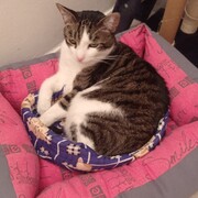 PUMA  - puma-4-29-01-2026.jpg