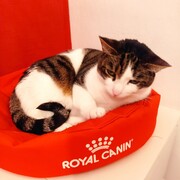 PUMA  - puma-5-29-01-2026.jpg