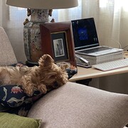 queenie-09-05.jpeg