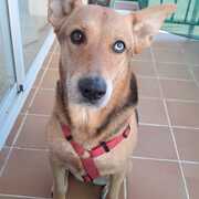 roxy-24-05.jpg