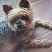 shila-09-05.jpg