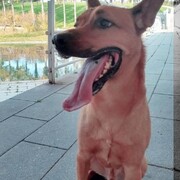 simba-21-07.jpg
