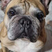 simba-21-08-25.jpg