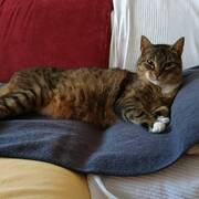 sushi-14-07-2026.pdf.jpg