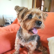 thor-06-06.jpg