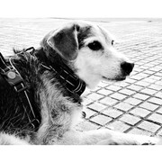 thor-16-07.jpg