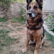 tina-05-05.jpg