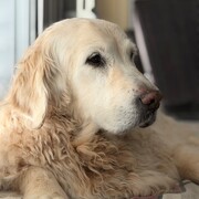 tina-25-09-2026.jpg
