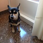 troya-16-07.JPG