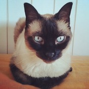 vlad-10-05.jpg