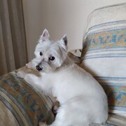 wanda-12-09-2025.jpg
