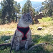 wiilly-03-06.jpg