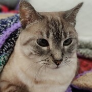 willy-03-06.jpg