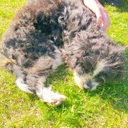 willy-23-04-2026.jpg