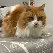 willy-26-08-25.jpg