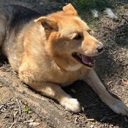 yago-17-09-2025.jpg