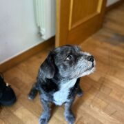 YAKI - yaki-2-28-10-2025.jpg