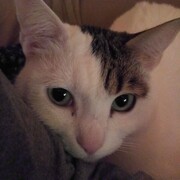 yuki-09-08.jpg