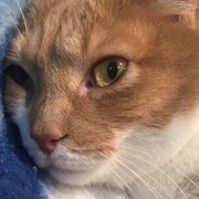 ZIPI - zipi-7-02-01-2026.JPG